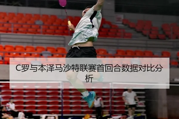 C罗与本泽马沙特联赛首回合数据对比分析